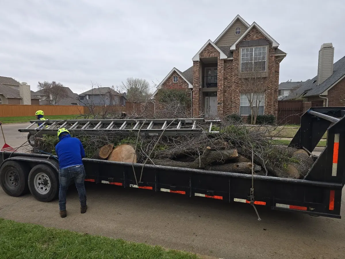 Expert Tree Removal with proper safety equipment in Casnovia